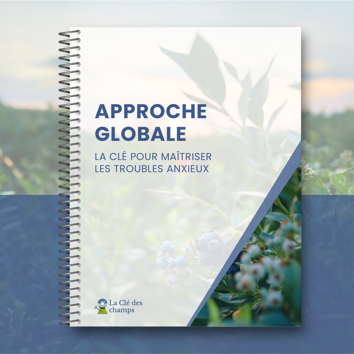 Approche globale – La clé pour maîtriser les troubles anxieux