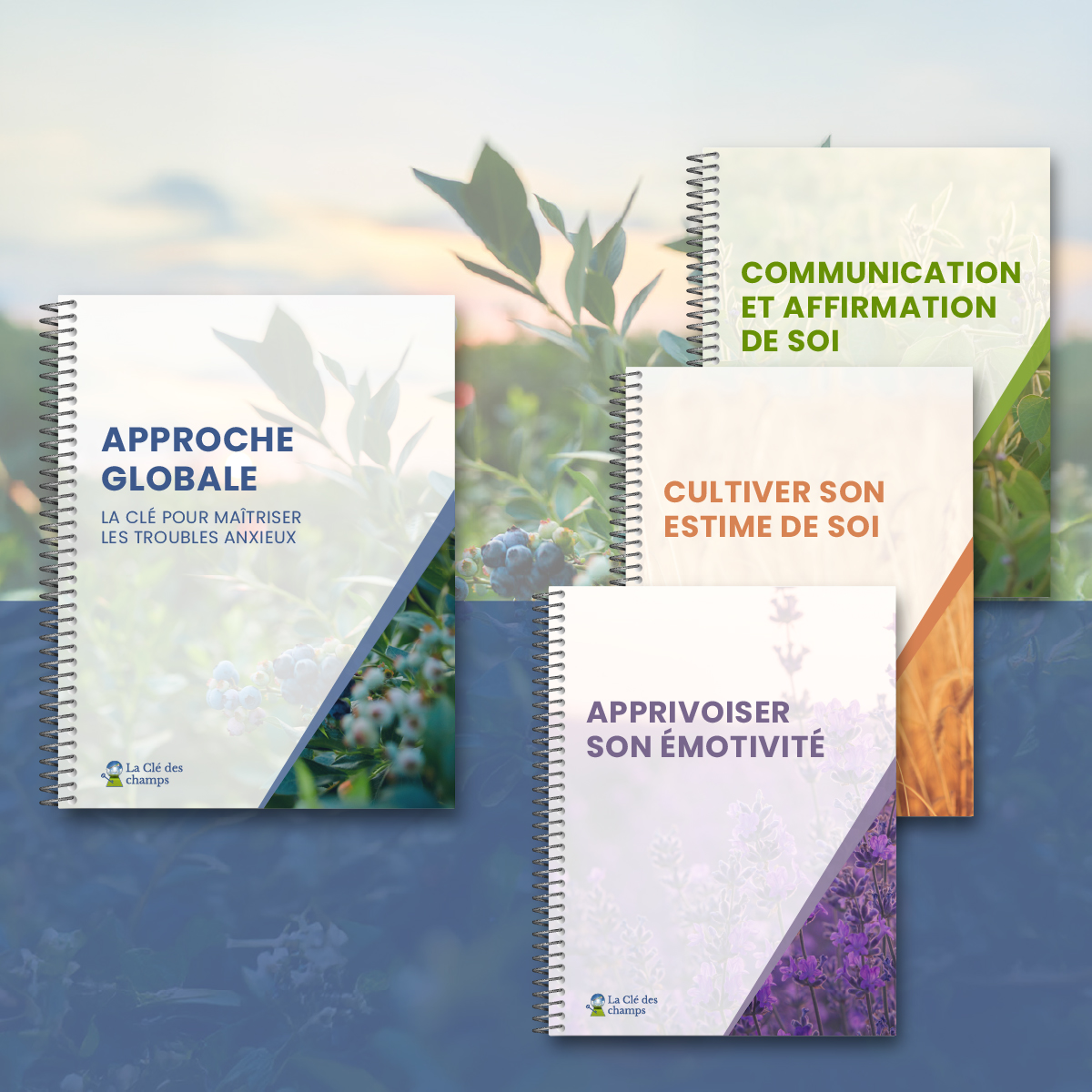 Vous souhaitez entreprendre la démarche de La Clé des Champs en toute autonomie ? Ce coffret est fait pour vous