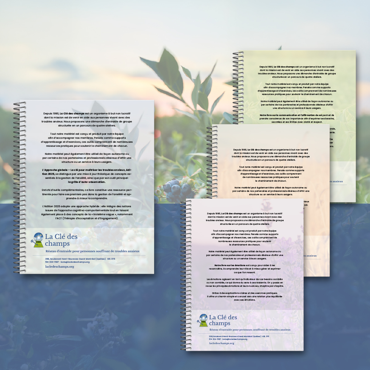 Vous souhaitez entreprendre la démarche de La Clé des Champs en toute autonomie ? Ce coffret est fait pour vous