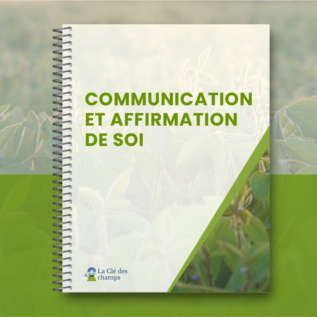 Communication et affirmation de soi